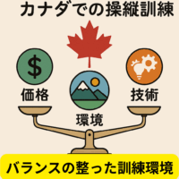 カナダのパイロット留学は環境が整っている